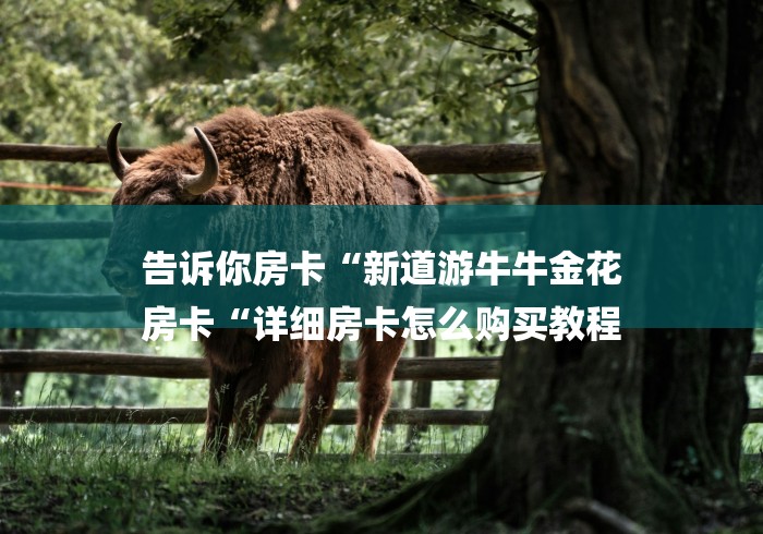 告诉你房卡“新道游牛牛金花
房卡“详细房卡怎么购买教程