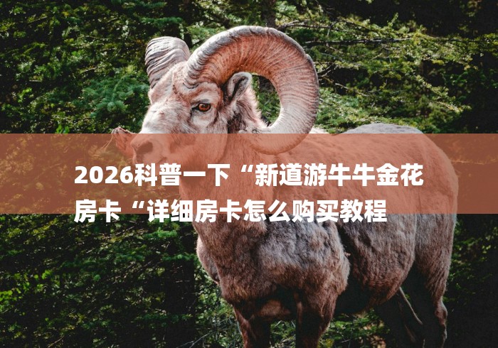 2026科普一下“新道游牛牛金花
房卡“详细房卡怎么购买教程 2026科普一下“新道游牛牛金花
房卡“详细房卡怎么购买教程