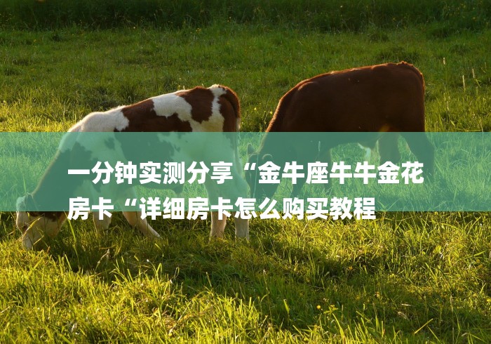 一分钟实测分享“金牛座牛牛金花
房卡“详细房卡怎么购买教程 一分钟实测分享“金牛座牛牛金花
房卡“详细房卡怎么购买教程