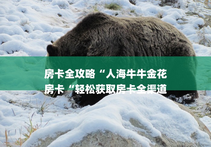 房卡全攻略“人海牛牛金花
房卡“轻松获取房卡全渠道 房卡全攻略“人海牛牛金花
房卡“轻松获取房卡全渠道